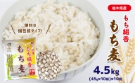 もち麦 (45g×10袋)×10個