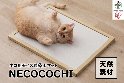 ＮＥＣＯＣＯＣＨＩ　NCC-45ナチュラル 852461 - 宮城県角田市