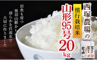 【令和6年産予約】慣行栽培米 山形95号 玄米 20kg(10kg×2)