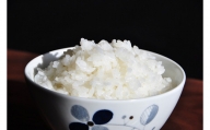 【10月より値上げ予定】NI13501-2 【令和5年産】【玄米】慣行栽培米山形95号5㎏