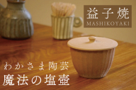 益子焼 魔法の塩壺　わかさま陶芸　電子レンジ可　食洗器可　塩壺　スプーン付き（BJ009）