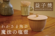 BJ009　益子焼 魔法の塩壺　わかさま陶芸