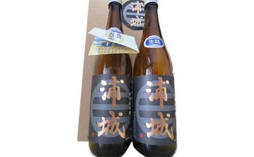 「浦城」720ml×2本 純米吟醸無濾過生原酒 お酒 日本酒 純米吟醸酒  85311 - 秋田県五城目町