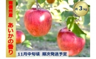 【010-11】幻のりんご　あいかの香り　約3キロ　信州が生んだ希少なりんごです（りんご・リンゴ・林檎）