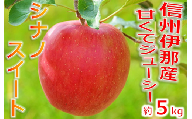 【012-16】シナノスイート　5キロ　信州が生んだ最高においしいりんごです（りんご・リンゴ・林檎）