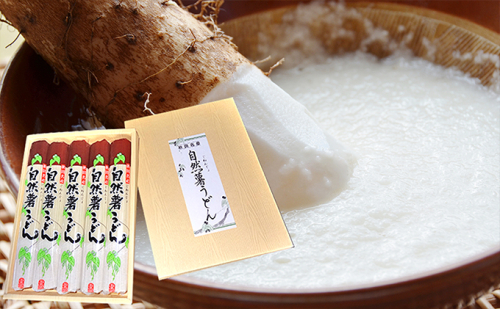 里郷 自然薯うどん（稲庭製法）180g×5袋 五城目産自然薯使用 麺類 乾麺  85347 - 秋田県五城目町