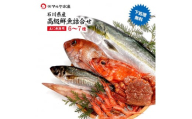 石川県・加賀市 旬の鮮魚 ( 刺身用/下処理済 ) 詰合せ 6～7種