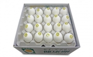 セイアグリー健康卵 40個入り たまご 玉子 鶏卵 セット [№5616-0096]