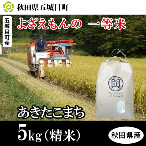 五城目町産 よざえもんの一等米・あきたこまち5kg（精米）【秋田県産】 85486 - 秋田県五城目町