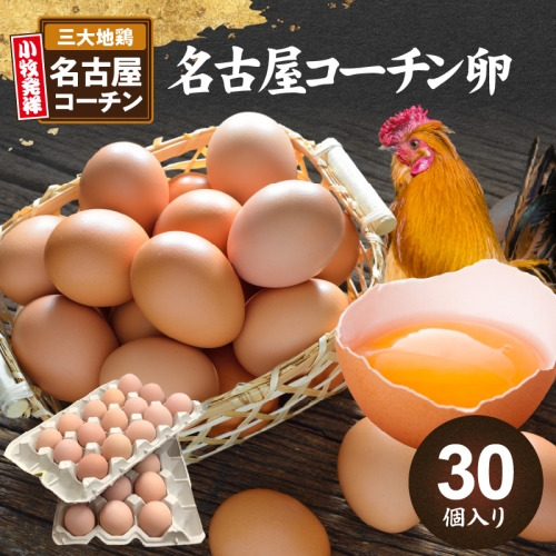 名古屋コーチン卵（30個入り)[006K01]