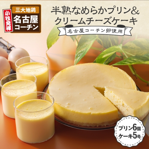 名古屋コーチン卵の半熟なめらかプリン＆クリームチーズケーキ[020N01] 85561 - 愛知県小牧市