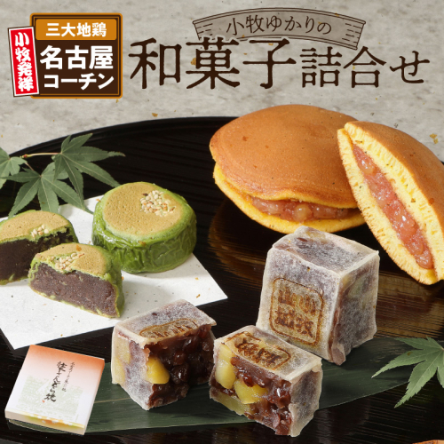 小牧ゆかりの和菓子詰合せ[009B01] 85567 - 愛知県小牧市