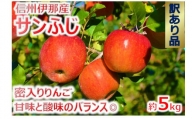 【009-39】信州のサンふじ　訳あり　5キロ！（りんご・リンゴ・林檎）