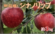 【009-29】新品種！　信州のシナノリップ　3キロ！　信濃三兄弟の一つ（りんご・リンゴ・林檎）