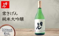 常きげん　純米大吟醸（720ml箱入）鹿野酒造 石川県 加賀市 北陸 F6P-1278