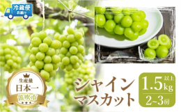 特大な房姿でありパリッとした食感と風味豊かな当園のシャインマスカットを数量限定で承りさせていただきます。寒暖差の大きい土地により質の良い出来栄えに加えて、植物性肥料のみを使用している為、マイルドな口当