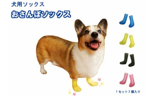 犬用ソックス  「おさんぽソックス」[030M07] 85771 - 愛知県小牧市