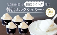 奈良の大人気店cervo biancoの濃厚ミルクジェラート 5個セット チェルボビアンコ ジェラート ソフトクリーム ソフト アイスクリーム アイス スイーツ 人気 ランキング お菓子 洋菓子 デザート セット 詰合せ 詰め合わせ J-47