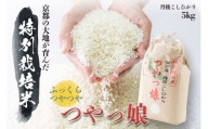 【令和5年産】 特別栽培米 つやっ娘米 5kg[ お米 米 白米 ][№5716-0247]