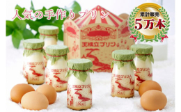 【配送不可：北海道・沖縄・離島】赤岩高原で育った鶏が産み落とす新鮮卵、丹後のヒラヤミルク。様々な作り手の紡いだ手間ひまを、丁寧に織り上げた「天橋立プリン」は、とろけるような舌触りと、コクのある風味が特