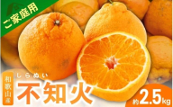 [3月下旬より発送][先行予約]家庭用不知火2.5kg+250g(傷み補償分)[デコポンと同品種・人気の春みかん][わけあり・訳あり] 和歌山 不知火 柑橘 くだもの フルーツ 果物 みかん[ikd053D]