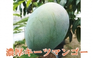 【希少マンゴー】濃厚キーツマンゴー　約1kg(1～2玉)【ard042B】