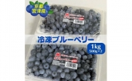 京都 天橋立産 冷凍 ブルーベリー 1kg（500g×2パック）[№5716-0419]
