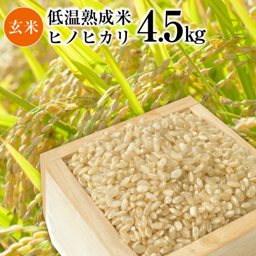 BE110 低温熟成米（ヒノヒカリ・玄米）　4.5kg(米袋×1袋) 86085 - 長崎県島原市
