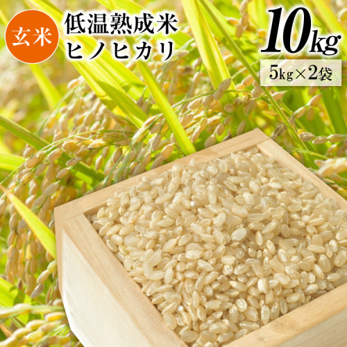 BE112 低温熟成米（ヒノヒカリ・玄米）　10kg(米袋×2袋) 86087 - 長崎県島原市