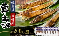 生食用凍眠凍結姫島車えび(養殖)約200ｇ(4尾～5尾)×20パック　A10