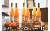 永沼農園の無添加果汁100%みかんジュースセット(清見タンゴール6本入り)