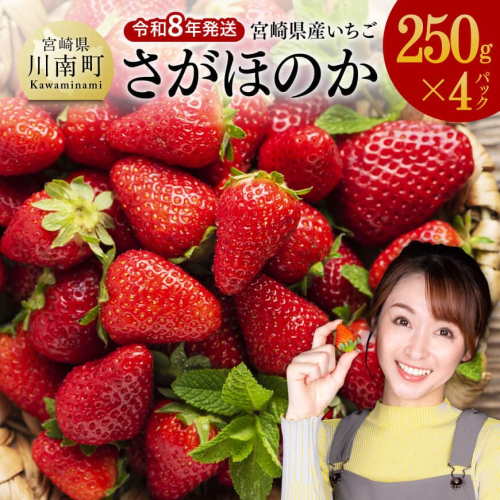 【令和8年発送】　宮崎県産いちご　「さがほのか」250ｇ×4パック 【 先行予約 期間限定 果物 イチゴ 苺 フルーツ 】 86123 - 宮崎県川南町