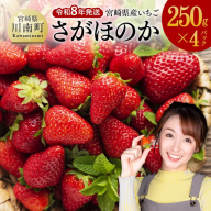 【令和8年発送】　宮崎県産いちご　「さがほのか」250ｇ×4パック 【 先行予約 期間限定 果物 イチゴ 苺 フルーツ 】