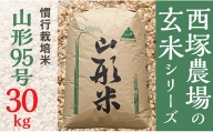 【令和6年産予約】慣行栽培米 山形95号 玄米 30㎏×1