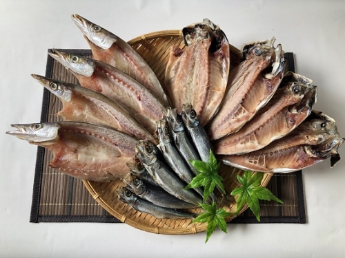 1年間定期便 富山湾の旬を食す 氷見ぶり 白えび ほたるいか のどぐろ など19種 奇数月6回お届け Au Pay ふるさと納税