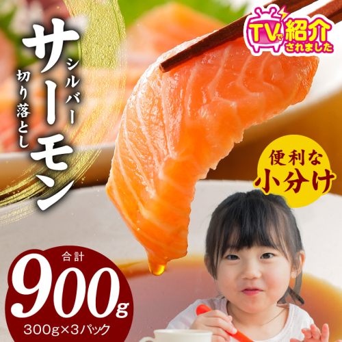 【TVで紹介！】サーモン 切り落とし 900g【小分け 300g×3 刺身 海鮮丼 サラダ カルパッチョ さーもん 訳あり サイズ不揃い 時短 簡単調理 冷凍】 010B1195 861798 - 大阪府泉佐野市