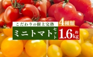 ミニトマト約400gx4 計約1.6kg｜ヤサイ 野菜 やさい トマト とまと ミニトマト 奈良県 五條市