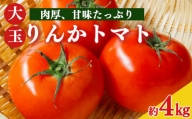 トマト約4kg 23玉～25玉   | ヤサイ 野菜 やさい トマト とまと 野菜 奈良県 五條市