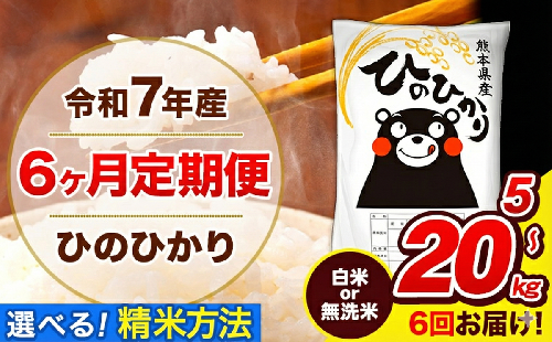 令和7年産 ひのひかり 【6ヶ月定期便】 選べる精米方法 白米 or 無洗米 5kg 10kg 20kg 計6回お届け 《お申込み翌月から出荷》 熊本県産 白米 無洗米 精米 ひの 米 こめ お米 熊本県 長洲町 861863 - 熊本県長洲町