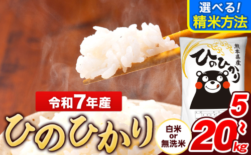 令和7年産 ひのひかり 選べる精米方法 白米 or 無洗米 5kg 10kg 20kg《7-14日以内に出荷予定(土日祝除く)》 熊本県産 米 精米 ひの 長洲町 861864 - 熊本県長洲町