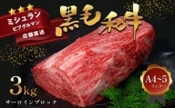 黒毛和牛 サーロイン ブロック 3kg | 肉 にく お肉 おにく 牛肉 和牛 サーロイン ブランド牛 焼肉 極上 A4 A5 熊本県 苓北町