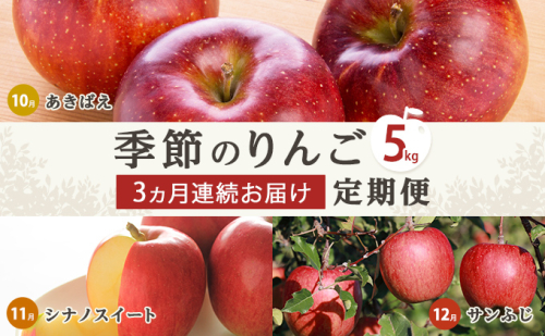 りんご 先行予約 定期便 3ヶ月 長野 季節のりんご 5kg あきばえ シナノスイート サンふじ フルーツ 果物 旬 長野県 長野市 2024年 10月から12月発送予定 定期 お楽しみ 3回 862340 - 長野県長野市