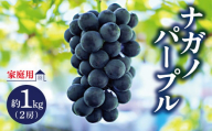 2025年 先行予約 ナガノパープル 約1kg 2房 家庭用 しまだ農園 | ナガノパープル 家庭用 ぶどう 葡萄 皮ごと 種なし 高糖度 フルーツ 果物 特産品 オリジナル 品種 産地直送 千曲市 長野県 信州 先行予約