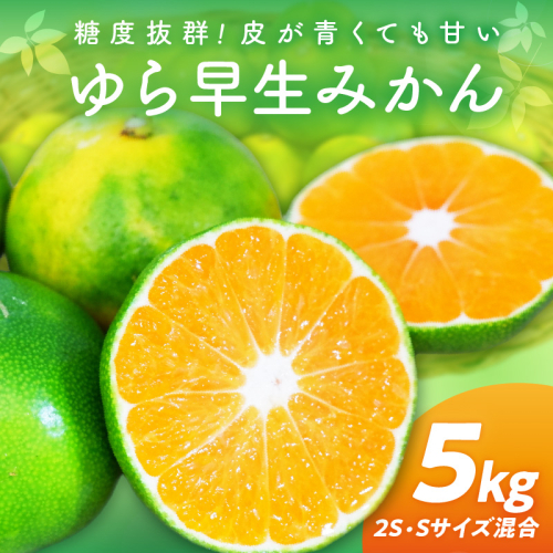 糖度抜群！ゆら早生（みかん）5kg≪先行予約≫ 86250 - 和歌山県御坊市