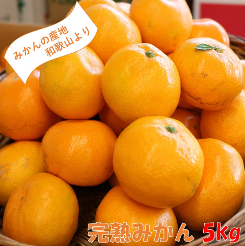 和歌山の完熟みかん5kg 紀州日高地方からお届けします!≪先行予約≫ 86251 - 和歌山県御坊市