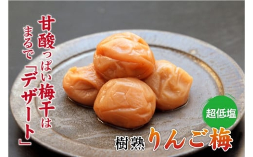 紀州南高梅 りんご梅 850g×1箱 ［Kn5］ 86296 - 和歌山県上富田町