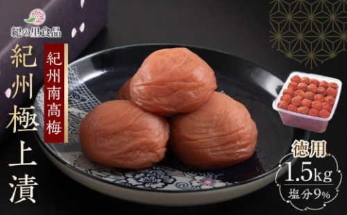 紀州南高梅 徳用 紀州極上漬 1.5kg×1箱 ［Kn6］ 86297 - 和歌山県上富田町