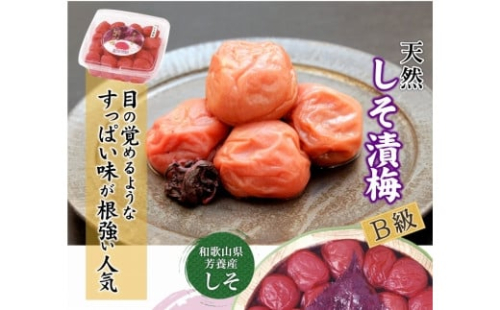 紀州南高梅 徳用 しそ漬梅 1.5kg×1箱 ［Kn9］ 86300 - 和歌山県上富田町