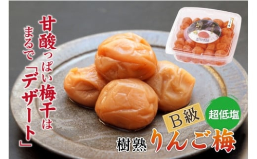 紀州南高梅 徳用 りんご梅 1.5kg×1箱 ［Kn10］ 86301 - 和歌山県上富田町