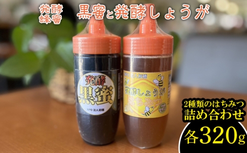 発酵蜂蜜 黒蜜と発酵しょうが（はちみつ） 各320g 2種類のはちみつ